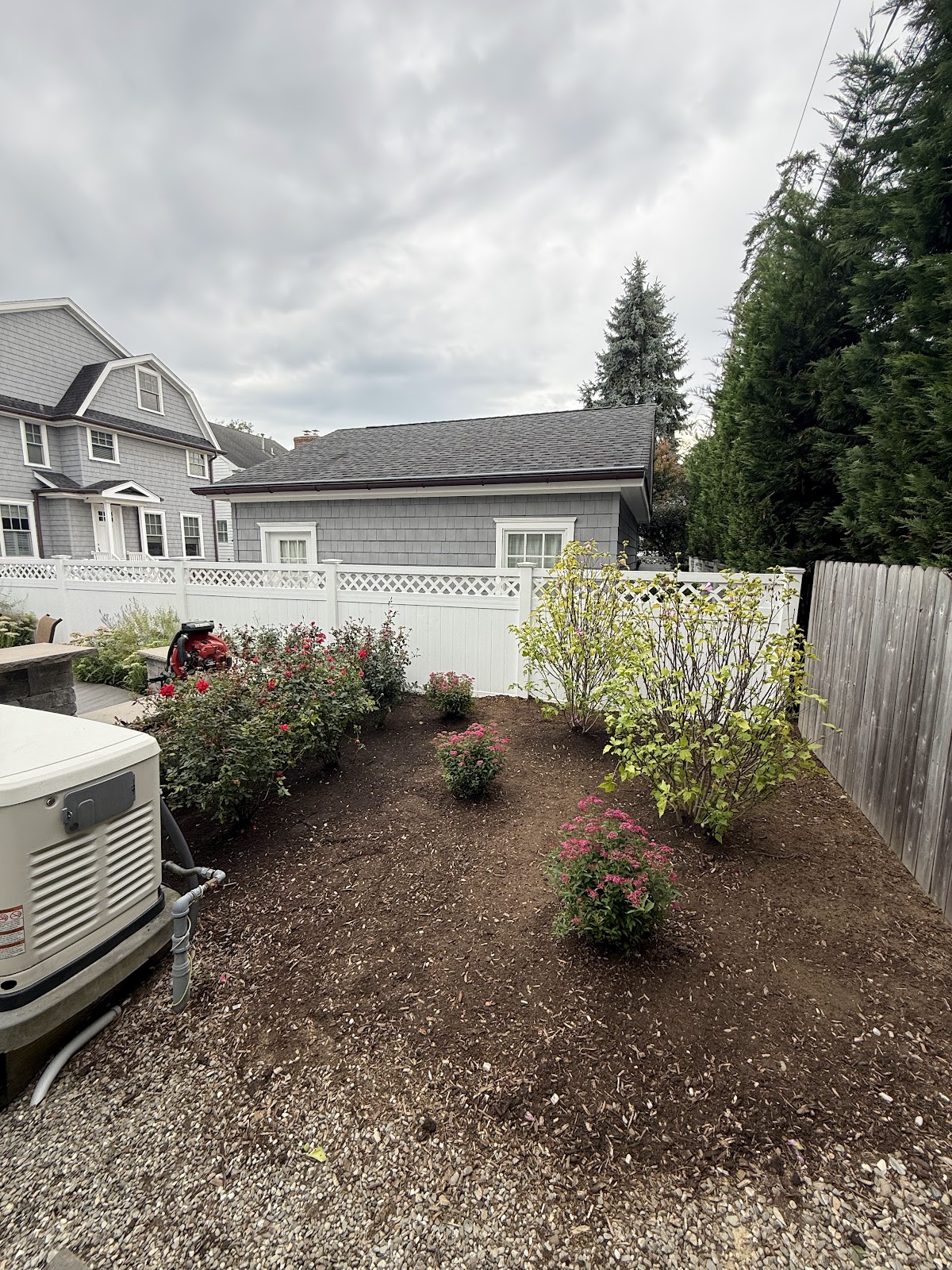 Finished garden bed with fresh mulch and flowering shrubs
